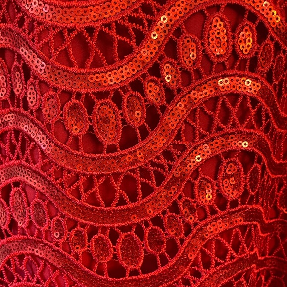 Saylor by Revolve Red Lace Sequin Mini Dress size XS - Picture 10 of 10
